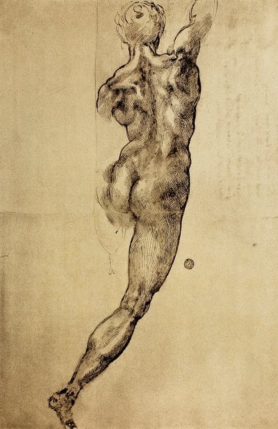 Study of a virile figure seen from the back by Michelangelo Buonarroti